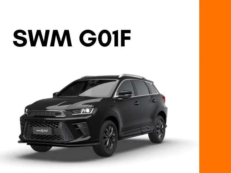 News SWM G01F News SWM G01F - Immagine mobile