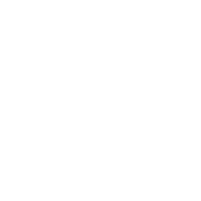 REVISIONE Icona del servizio REVISIONE